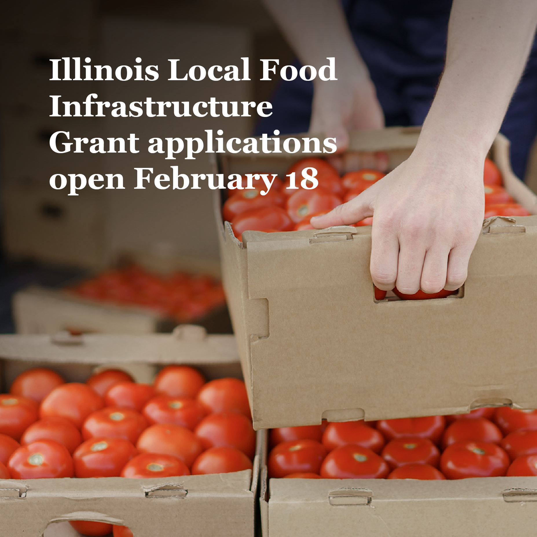 Applications for Illinois Local Food Infrastructure Grants Open February 18th