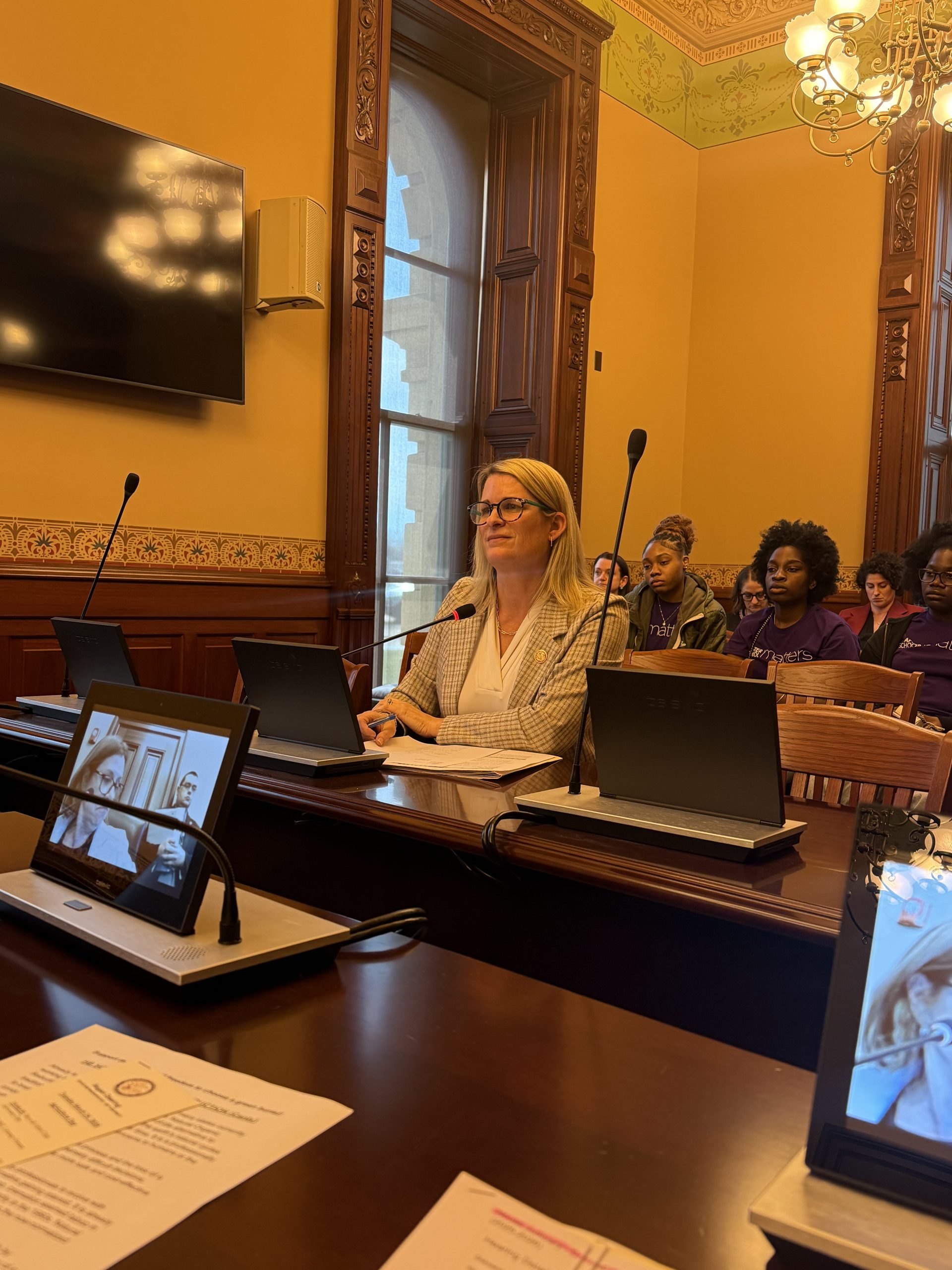 Deering Bill to Improve Transparency in DCFS Investigations Clears Adoption Committee